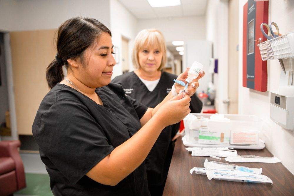 Medical assistant working in clinical setting